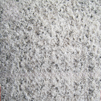 Dalles de pavé en granit naturel flamme lychee, dalles de sol antidérapantes en granit pour allées, jardins, cours et extérieurs
