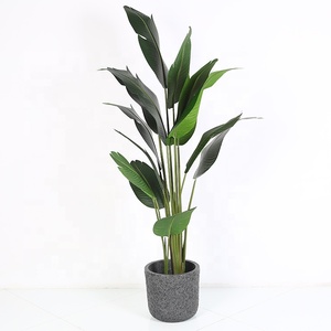 Intérieur faux <span class=keywords><strong>voyageur</strong></span> <span class=keywords><strong>banane</strong></span> jardin decorationartificial bananier - Product Image 3