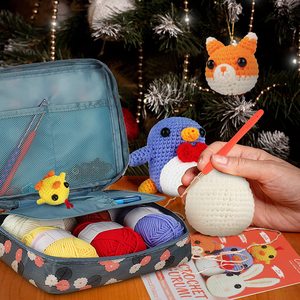 Kit de Ganchillo para Principiantes, Niños y Adultos, Kit de Agujas de Ganchillo con Bolsa de Almacenamiento, Juego de Agujas de Tejer, Herramientas de Costura para Manualidades - Product Image 6