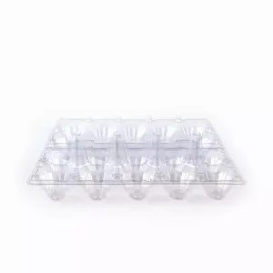 Manufacturer Disposable Plastic Egg Tray PET Egg Tray For Packing