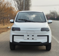 Dépôt Alaval à énergie solaire 5 portes 4 sièges petite voiture de charge 70kmh 80V automatique solaire Lhd solaire EV voiture avec panneau solaire