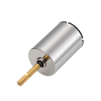 Motor Brushless 12V 17mm dengan Bantalan Lengan dan Bantalan Bola, Motor DC Magnetik untuk Robot, Mesin Tato, dan Mesin Bor Kuku