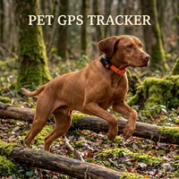 Collier de suivi GPS étanche pour chiens et bétail, en plastique, avec suivi en temps réel, historique des trajets, grande autonomie de la batterie et signal de bonne qualité