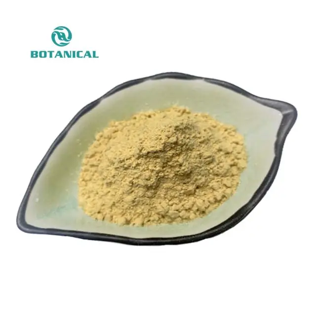 BCI. Lieferung von Pilz-Alpha-Amylase aus Aspergillus Oryzae zur Verkürzung der Brot fermentation szeit