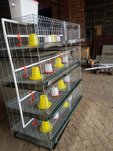 <span class=keywords><strong>Galvanizado</strong></span> barato bebé chica jaulas en jaulas de animales de granja de diseño - Product Image 3