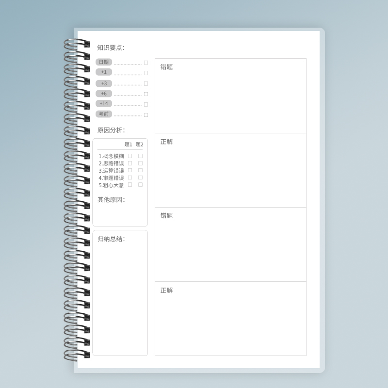 White-Mistake Notebook