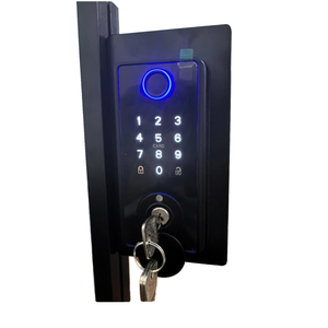 Khung siêu hẹp cảm biến thông minh mở Khóa vân tay khóa mật khẩu cửa trượt với lưu trữ dữ liệu đám mây và tùy chọn mạng wifi - Product Image 1