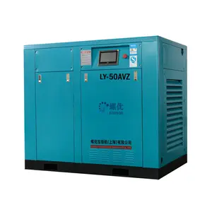 Efficient Low Noise LY-50AZWZ Air Compressor Pump