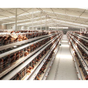 Gabbia a strati 10000 polli pollame azienda agricola messico galvanizzato gabbie di pollo per pollame - Product Image 2