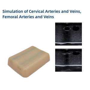 Simulador de Punción Vascular Guiada por Ultrasonido KyrenMed para Arterias y Venas Cervicales y Femorales, Inserción de <span class=keywords><strong>PICC</strong></span> - Product Image 3