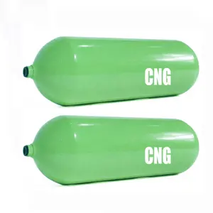 Biogasfilter Cng-Onderdelen Mini-Fabriek Generator Compressor Conversieset Prijs