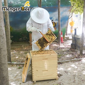 Popular 2-Layer Australian New Zealand <b>Pine</b> Hive <b>Box</b> Accessories National Beehive for Honey Bees Animal Husbandry Equipment for - Product Image 2