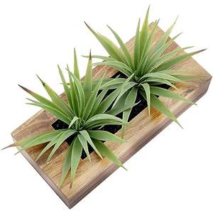 Plantas de Césped Artificial en Maceta Decorativa de <span class=keywords><strong>Madera</strong></span> Maciza de Acacia de Lujo, Vegetación Artificial en Contenedor Rectangular de <span class=keywords><strong>Madera</strong></span> - Product Image 5