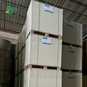 Papel Blanco recubierto de PE para llevar cajas, buena dureza, 250gsm + 15g, 79 cm x 109