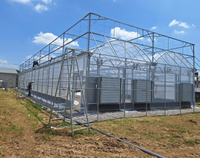 Serre multi-chapelles en verre pour la culture de fleurs et légumes – Système de serres agricoles