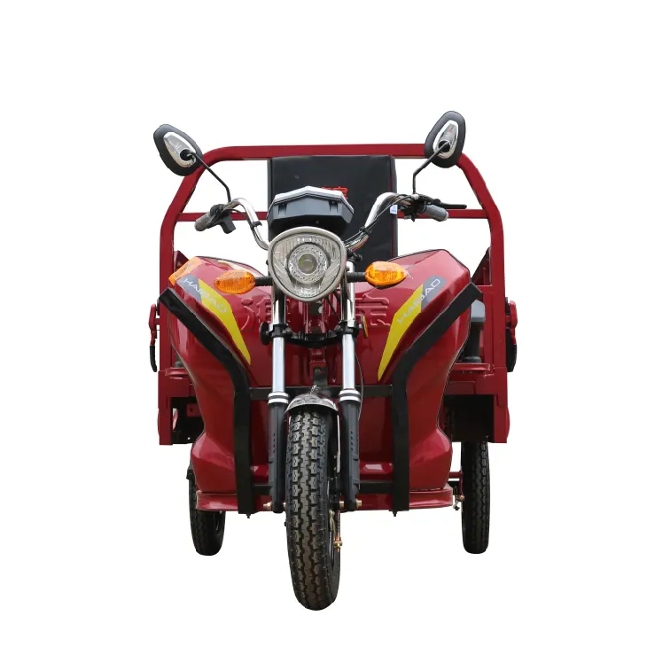 Vendita calda Piaggio Indiano Per I Motori 3 Ruote Motociclo Elettrico Risciò Loader triciclo Elettrico per il carico con driver del tetto