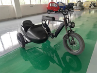 Cyclomoteur électrique 4OEM à 6 vitesses variables de 20 pouces avec application Tricycle à trois roues pour passagers