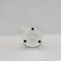Pompe à air électrique à diaphragme miniature portable OEM personnalisée, DC 3V, faible bruit, pour aquarium, bassin de poissons