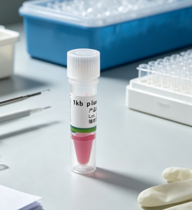 1 <span class=keywords><strong>kb</strong></span> plus marqueur d'échelle ADN - Product Image 3