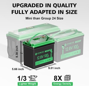Baterai Lithium LiFePO4 12V 100Ah Siklus Dalam dengan BMS 100A untuk RV, Motor Trolling, Camping, Marine, Penyimpanan Energi Surya - 2 Paket - Product Image 3