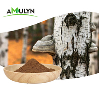 Extrait de champignon Chaga Amulyn, récolté en zones froides, riche en triterpènes, extrait du corps fruiteur d'Inonotus Obliquus