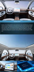 China Elektroauto <span class=keywords><strong>Yttrium</strong></span> 3 2025 330km Liberty Edition Pure Electric 82 PS Kompakt auto EV-Fahrzeuge mit Frontantrieb - Product Image 5