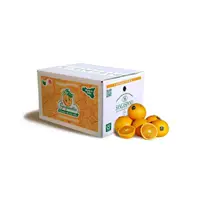 Свежий органический оранжевый, высокое качество, Сделано в Италии, оригинальный апельсин Сицилия в коробке 4 кг