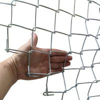 Malla de Alambre Galvanizada por Inmersión en Caliente, 1.8-3.8mm, 60x60mm, 0.6-6m de Altura, Resistente a la Corrosión, para Aislamiento de Carreteras y Ferrocarriles, Venta al Por Mayor