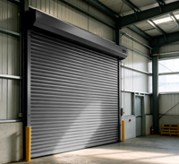 Porte de garage automatique isolée en acier coloré, résistante aux intempéries, anti-effraction et à haute efficacité énergétique