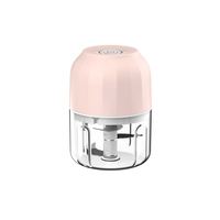 Mini hachoir portable en acier inoxydable avec corps en PP, rechargeable, outil de cuisine électrique alimenté par USB, compatible lave-vaisselle, capacité de 250 ml