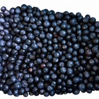 Premium Grade A IQF Diepvries Blauwe Bessen Groothandel 10kg/25kg Kartons voor Bakkerijen, Sappen, Smoothies, Natuurlijk IQF Diepvries Fruit