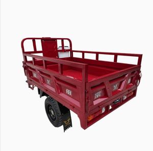 Motocicleta Triciclo de gasolina duradera diseñada para todas las condiciones del terreno - Product Image 6