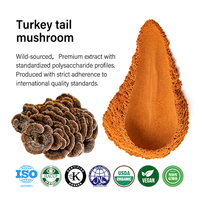 AMULYN Extrait de Champignon Queue de Dinde Biologique en Poudre, Extrait Végétal PSP/PSK, Complément Naturel Qualité Alimentaire/Médicale