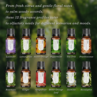 Ensemble Cadeau d'Huiles Essentielles Ingrédients Naturels Quotidien Douze Aromathérapie Ensemble d'Huiles Essentielles pour Massage du Corps