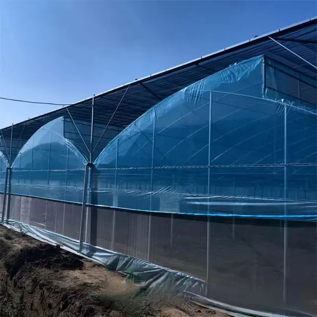 Sawtooth Agricultural Large Greenhouse Film High-Durable Indoor Garden Solution