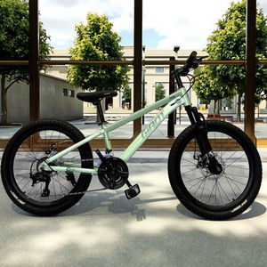 Vélo pour enfants à prix avantageux / vélo pour enfants en Arabie Saoudite / nouveau vélo pour enfants de 8 à 14 <span class=keywords><strong>ans</strong></span>, vélo pour enfants - Product Image 6