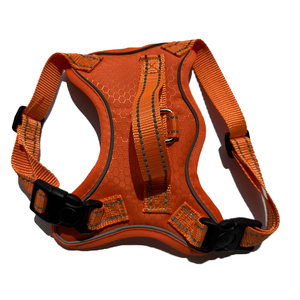 2025 nuovo lusso personalizzato <span class=keywords><strong>Pet</strong></span> collari guinzaglio imbracature per cane - Product Image 1