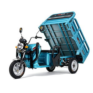 Triciclo de Carga con Motor de Gasolina de 1500W y 5 Ruedas, con Manillar de Empuje para Padres, Envío Gratis - Product Image 6