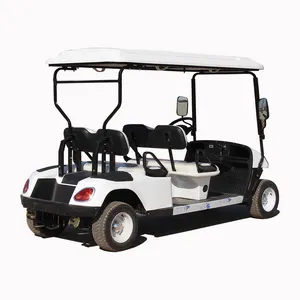 Hot Sale 1500W Double Seat City Golf Cart 4 Wheel Electric Mobility Scooter With Roof For Ebike And Personal Use