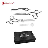 Kit d'outils de coupe de cheveux professionnel en acier inoxydable avec ciseaux, peigne et brosse pour débutants et stylistes