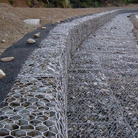 Paniers et cages en gabions en fil de fer galvanisé enduit de PVC, de haute qualité, en gros, avec conception hexagonale tressée, tailles 2x1x0.5m et 2x1x1m