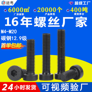 12.9DIN7984/M3M4M5M6M8 - Product Image 5