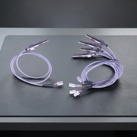 Capteurs thermocouples PT100 mini RTD haute précision (1°C) pour autoclave