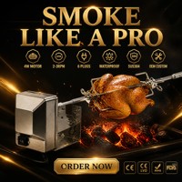 Kit de rôtissoire électrique pour barbecue, avec moteur et tige de rôtissage, pour poulet entier, accessoire pour grillades en extérieur et fêtes