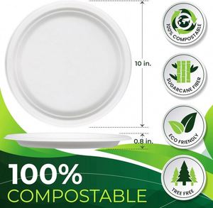 Assiettes jetables en canne à sucre de 10 pouces, 100 % compostables, avec revêtement UV, robustes, pour fêtes et festivals, style américain - Product Image 2