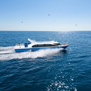 Grandsea Barca Veloce da 50 Posti in Vetroresina per Passeggeri in Vendita - Product Image 2