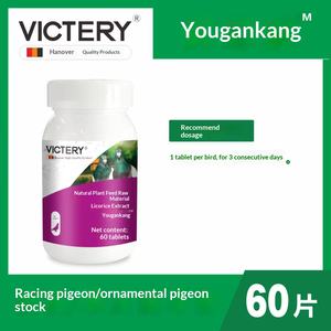 Medicamento para Palomas Yougankang, 60 Tabletas/Botella, Especializado para Palomas de Competición, Problemas Respiratorios por Chlamydia, Resfriados, Cuidado de la Salud - Product Image 3