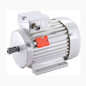 Motor eléctrico de polos variables y multivelocidad Vem para uso industrial - Product Image 4
