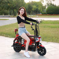 Vélo Électrique Monoplace D1 Little Dudu de Haute Qualité pour Animaux de Compagnie, Scooter pour Chiens de Petite/Moyenne Taille, 38kg, 48V, Cadre en Acier, Moteur Arrière 400W