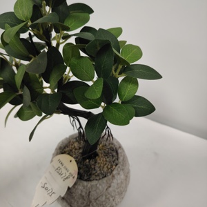 Mini <span class=keywords><strong>Bonsai</strong></span> Artificiale di Bosso in Vaso - Pianta Verde dall'Effetto Realistico per Arredamento Interno di Casa, Ufficio e Hotel - Product Image 4